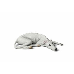 Galgo blanco tumbado GT24001