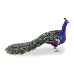 Pavo real  P24001